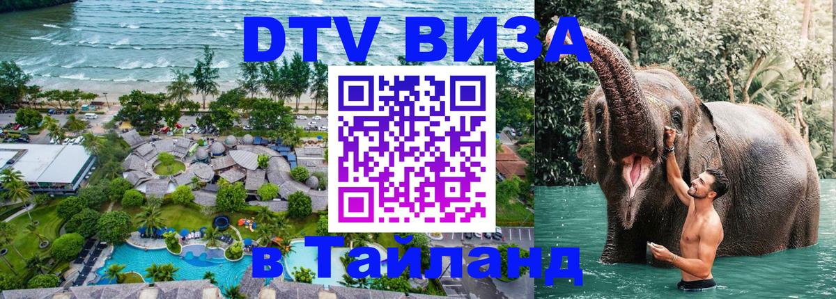 Сколько стоит DTV виза — актуальные цены, оформление даже без документов - 03.10.2025 